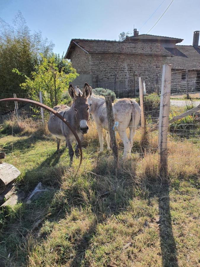 Les Figuets Villa Chateauneuf-de-Galaure Eksteriør bilde