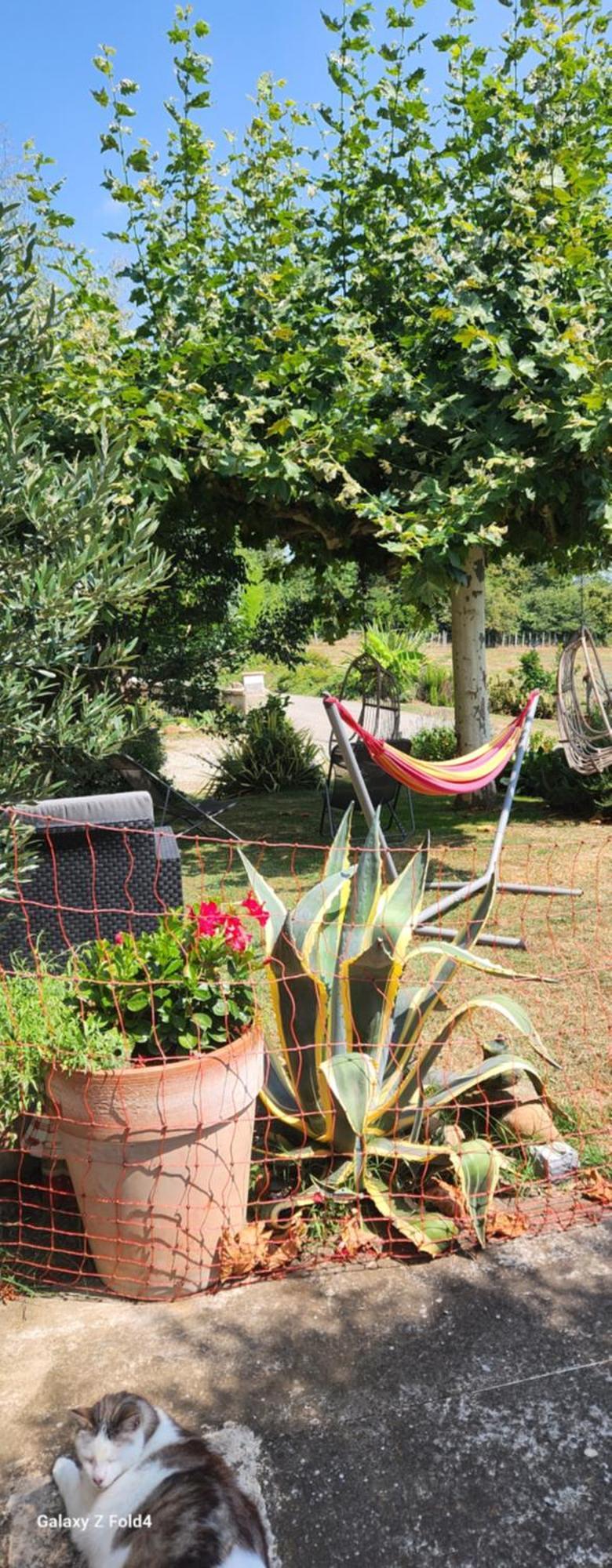 Les Figuets Villa Chateauneuf-de-Galaure Eksteriør bilde